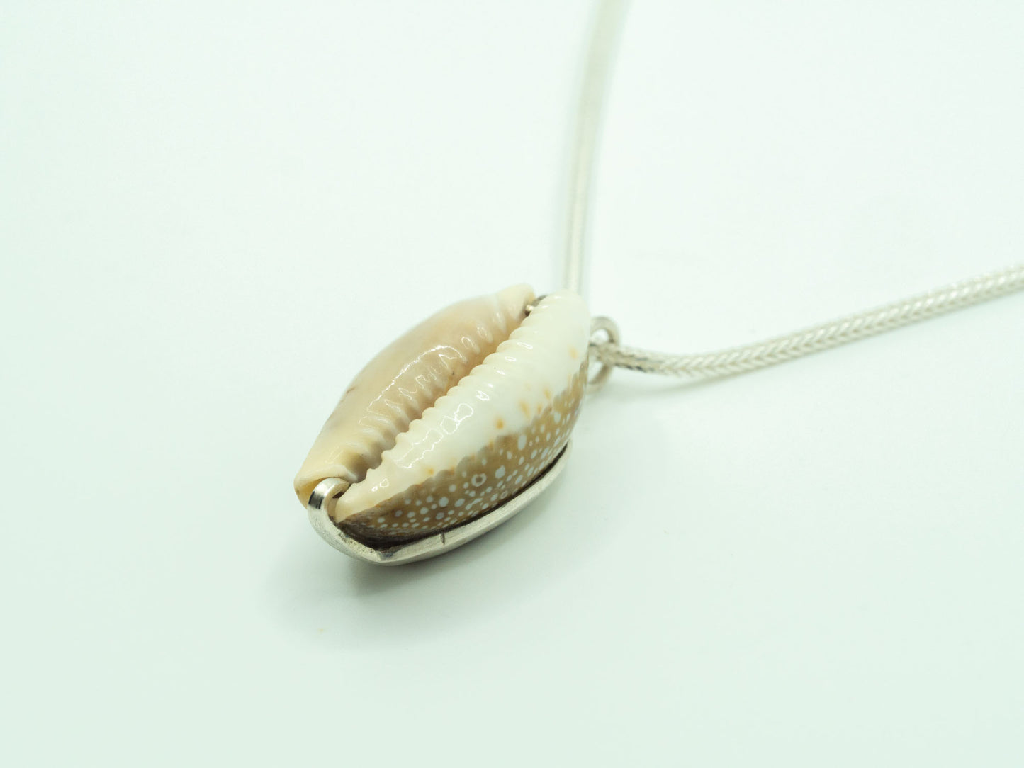 Natural Cowrie Shell Sterling Silver Necklace