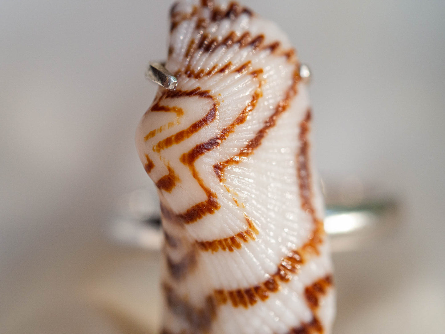 Natural Shell Brown Patterned Ring