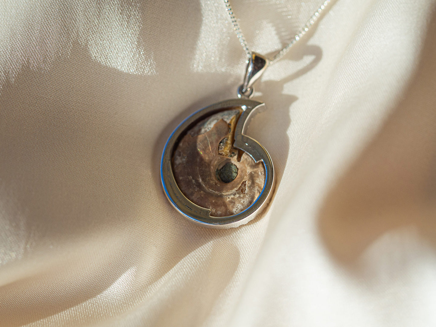 Bejewelled Ammonite Fossil Necklace in Sterling Silver