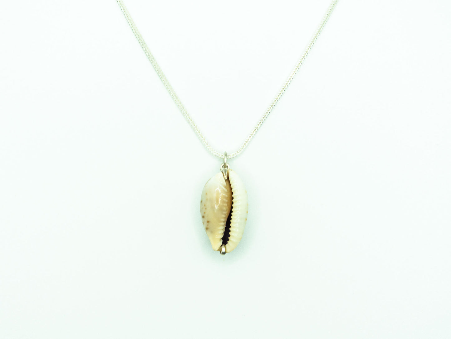 Natural Cowrie Shell Sterling Silver Necklace