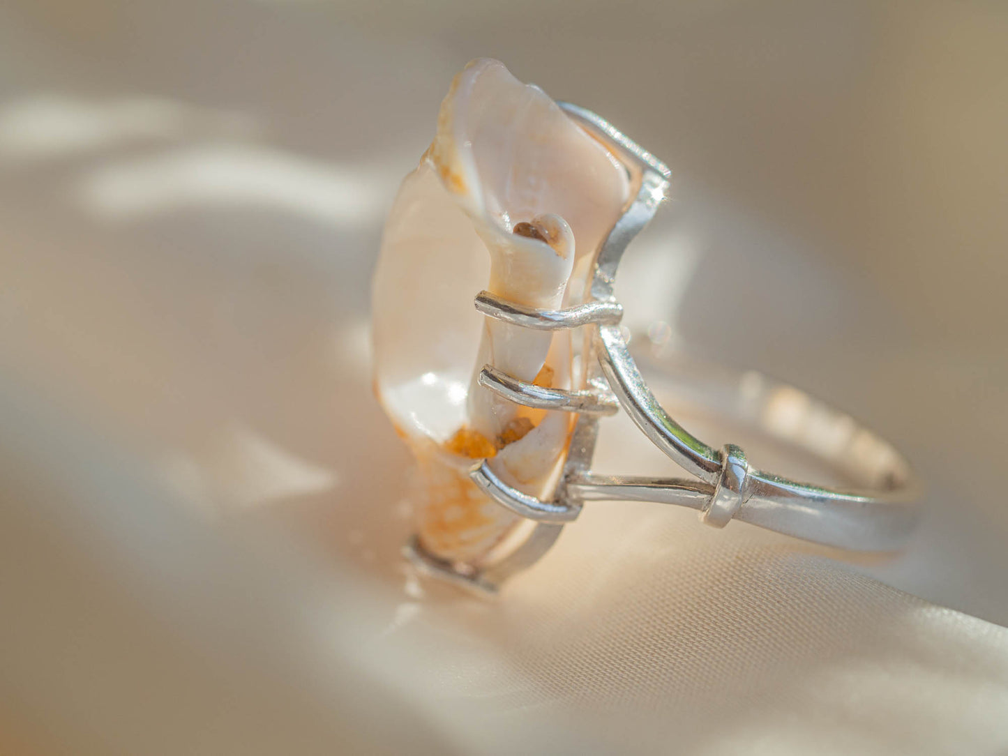 Unique Natural Shell Statement Piece Ring