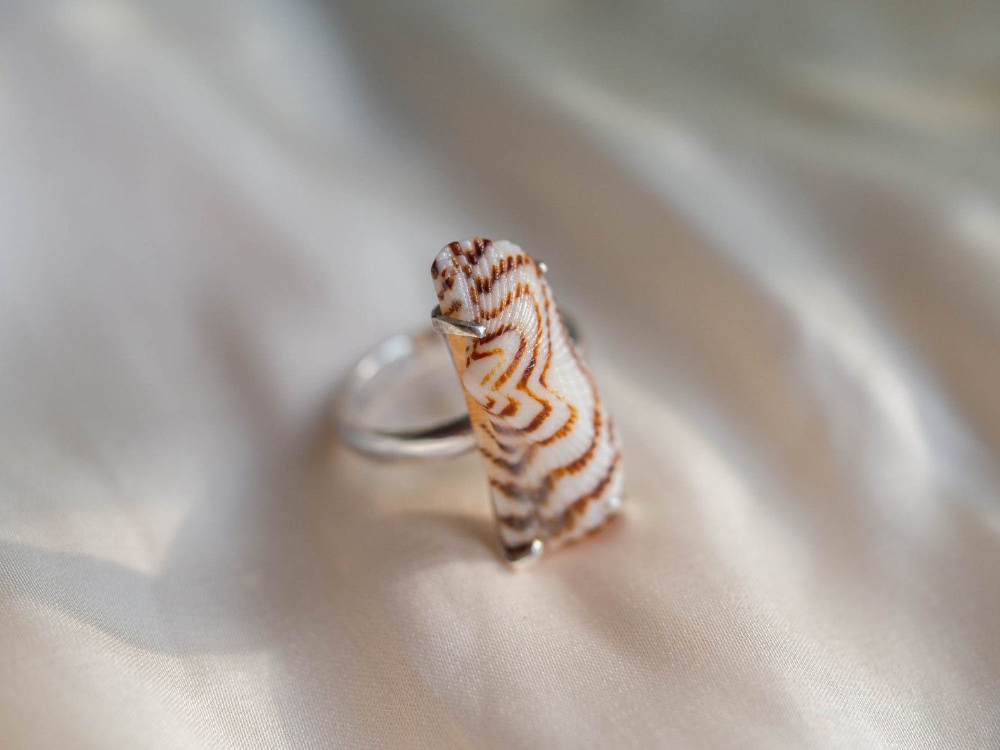 Natural Shell Brown Patterned Ring