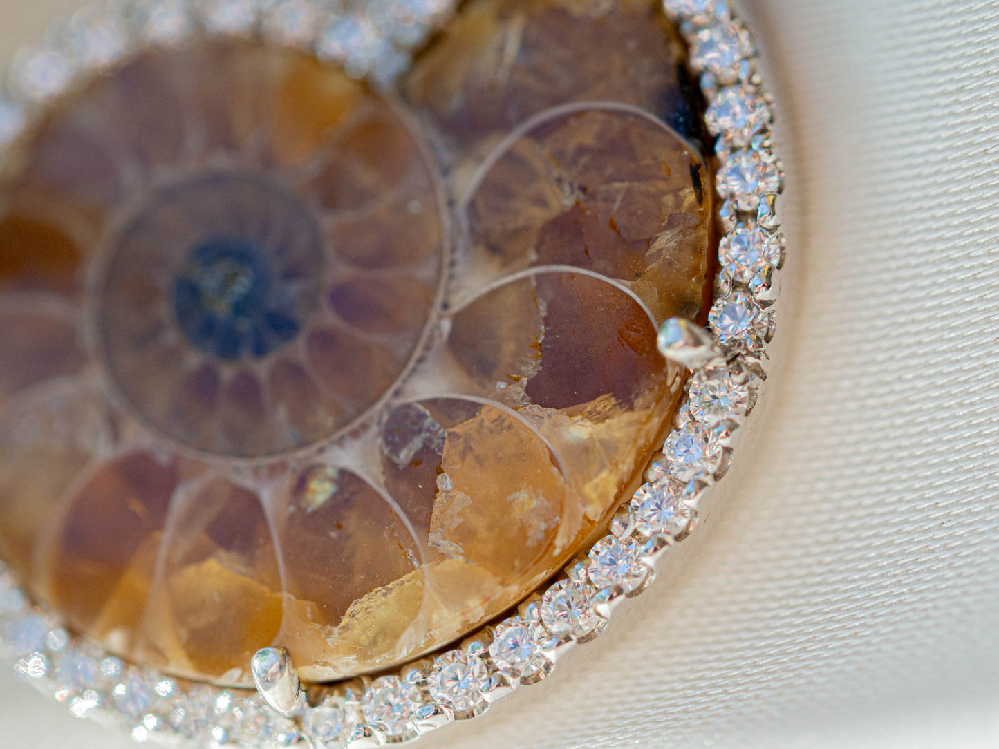 Bejewelled Ammonite Fossil Necklace in Sterling Silver
