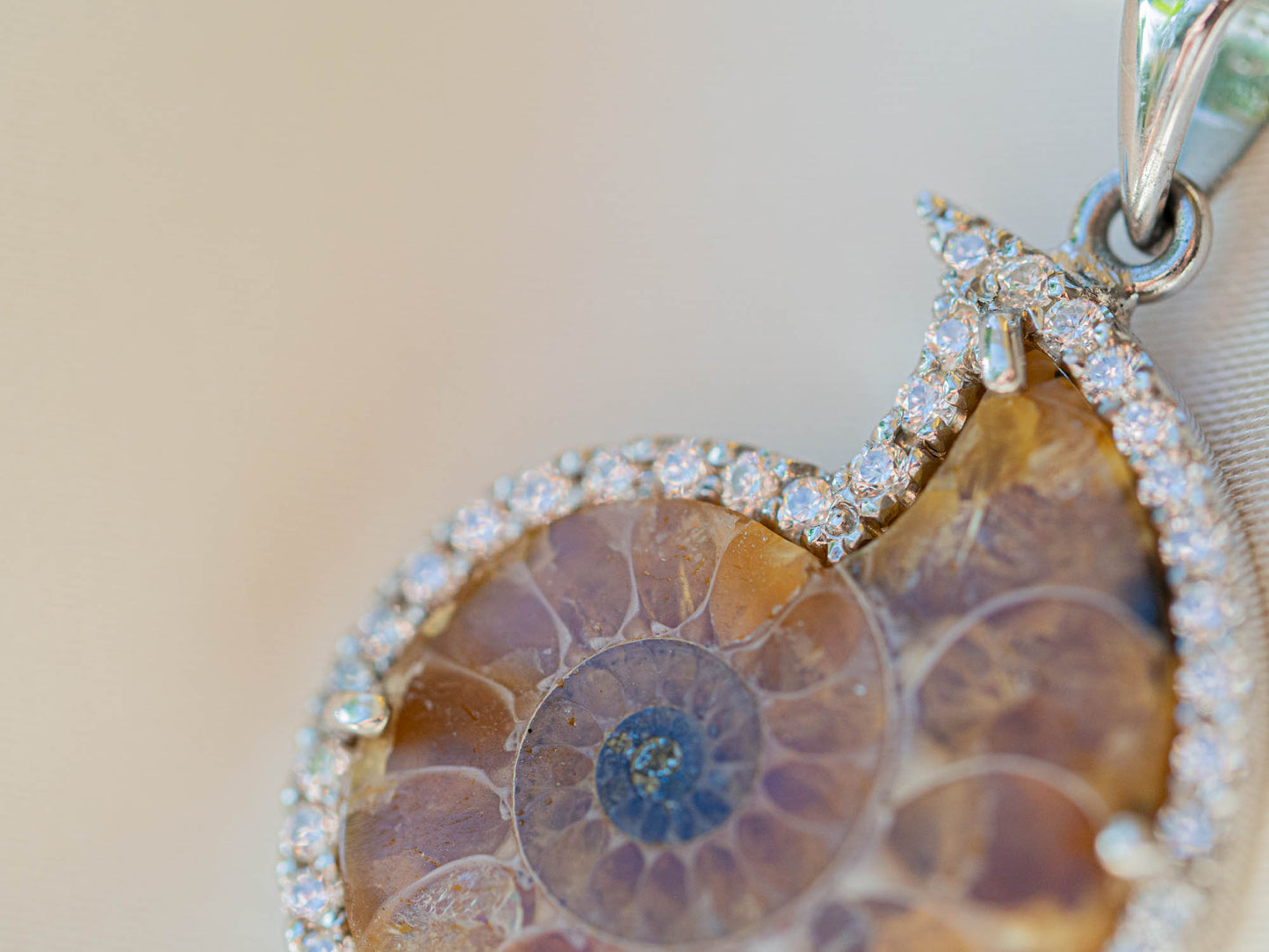 Bejewelled Ammonite Fossil Necklace in Sterling Silver