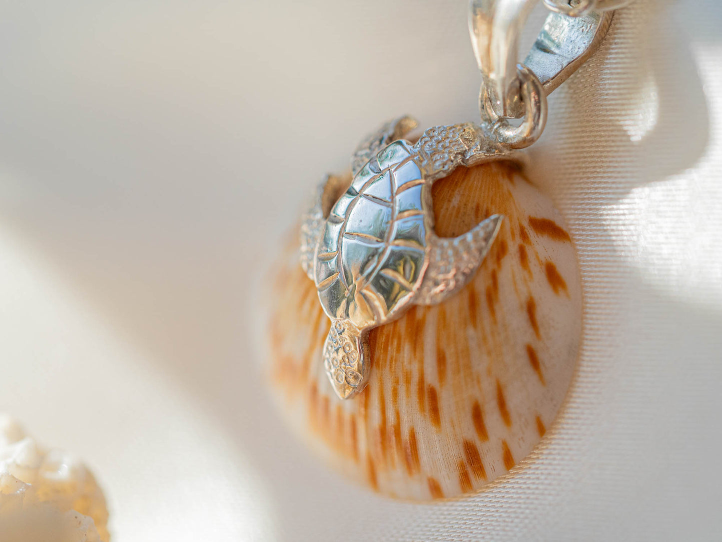 Natural Flame Shell and Turtle Charm Necklace