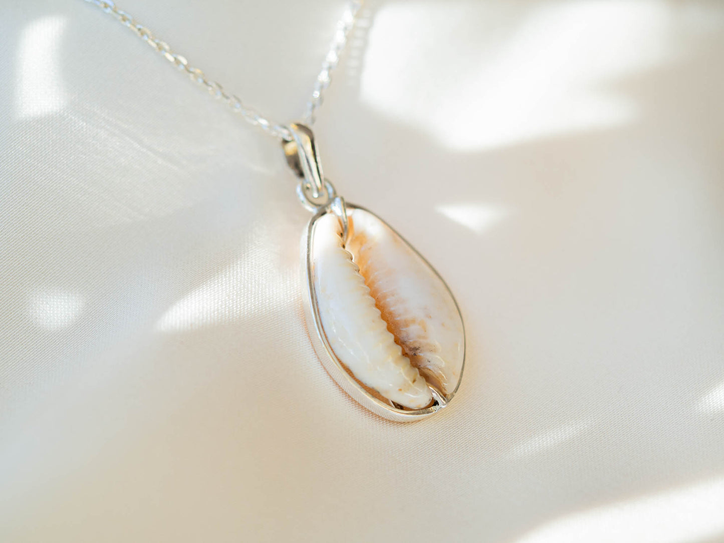 Natural Cowrie Shell Sterling Silver Necklace