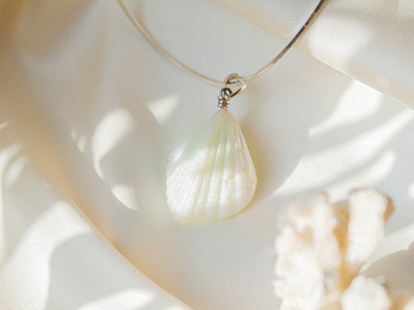 Natural Seashell Pendant with hand carved Sea Glass