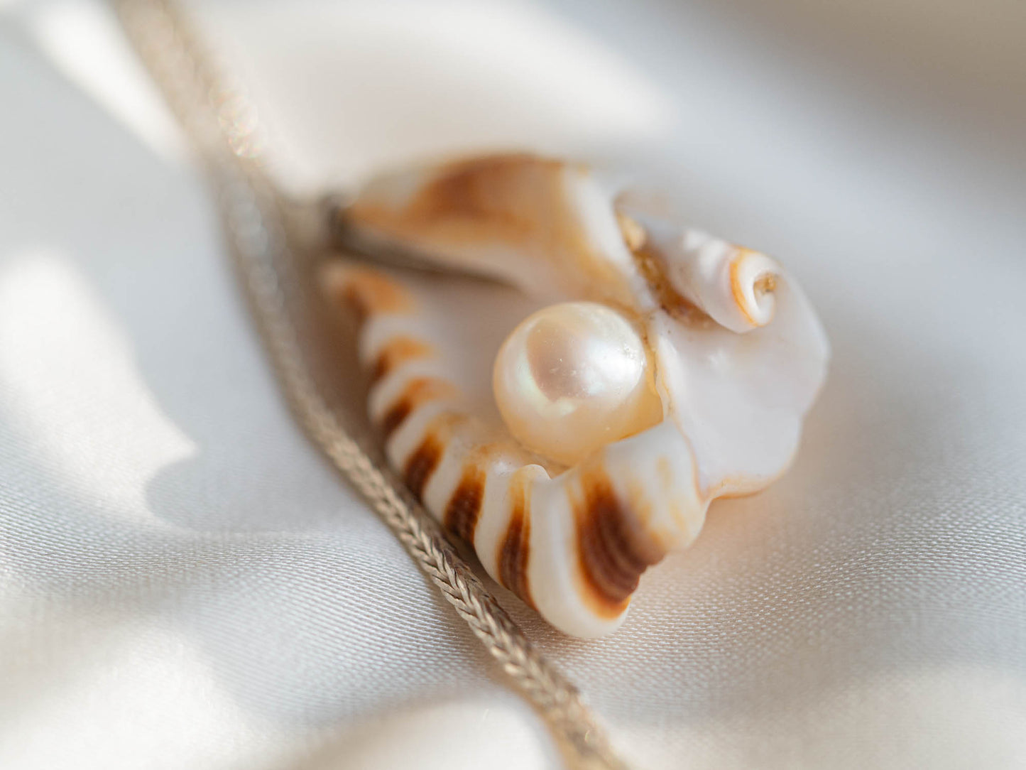 Unique Handmade Seashell and Pearl Necklace on Silver Chain