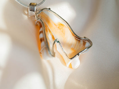 One of a kind Natural Shell necklace