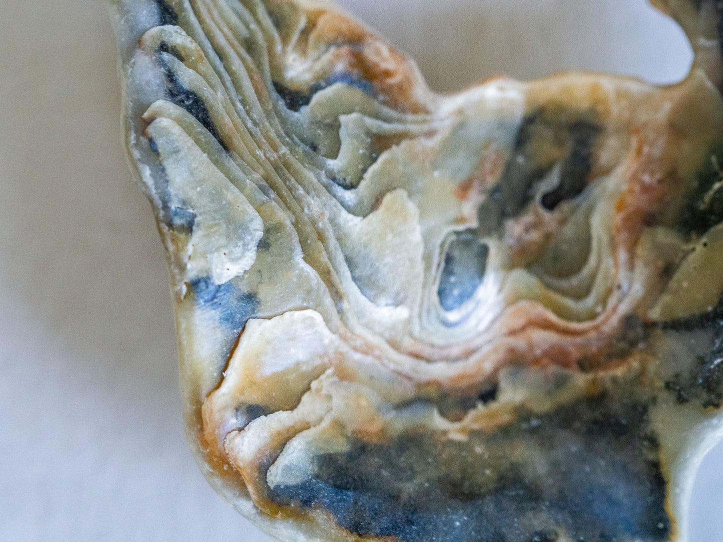 Unique Natural Shell & Pearl Pendant Necklace on Sterling Silver Choker