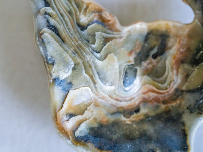 Unique Natural Shell & Pearl Pendant Necklace on Sterling Silver Choker