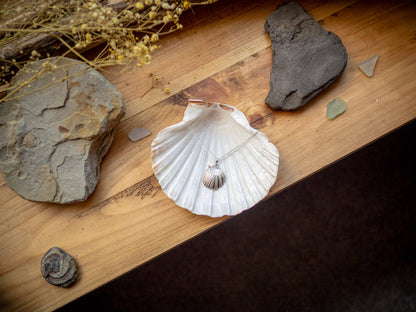 Sterling Silver Scallop Shell and Pearl Necklace